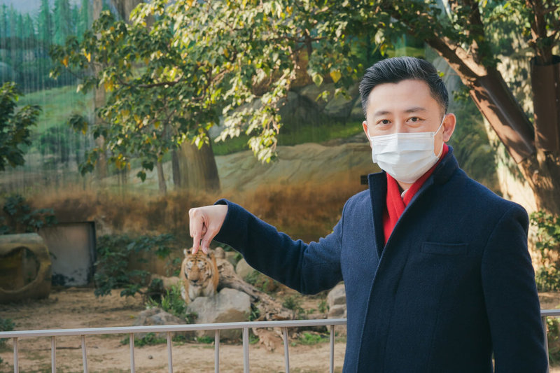 春節連假即將展開,新竹市長林智堅27日宣布,新竹市立動物園、台灣昆蟲館(新竹館)將在2月1日大年初一開園,虎年應景的孟加拉虎將陪民眾過新年,歡迎民眾落實防疫來走春。(新竹市政府提供)中央社記者郭宣彣傳真 111年1月27日