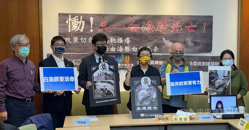 台灣白海豚因人為因素死亡事件頻傳,時代力量立委陳椒華(右3)與環保團體27日在立法院舉辦記者會,呼籲政府及海保署等相關單位釐清白海豚生存威脅,並提出對策,好好保育白海豚。中央社記者王飛華攝 111年1月27日
