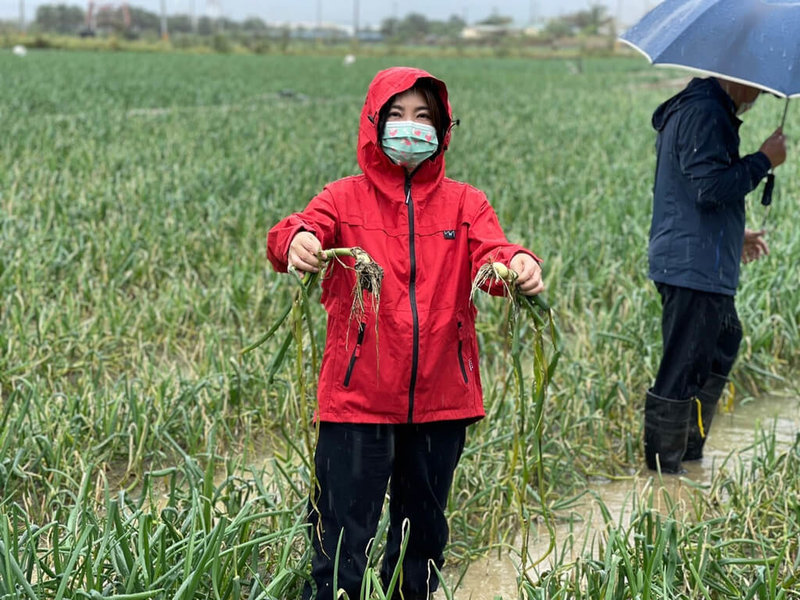 民進黨立委周春米(圖)接獲民眾反映,恆春洋蔥近日到極端氣候影響,導致部分已經有發生炭疽病的情形,29日前往勘災。(周春米服務處提供)中央社記者李卉婷傳真 111年1月29日