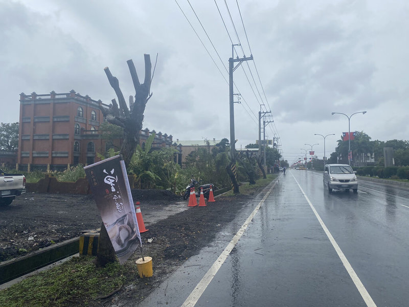 花蓮一家鄰近台9線旁的知名連鎖名產店擅自修剪6株台灣欒樹行道樹,形成幾乎斷頭現象。(公路總局四區工程處提供)中央社記者張祈傳真 111年1月29日