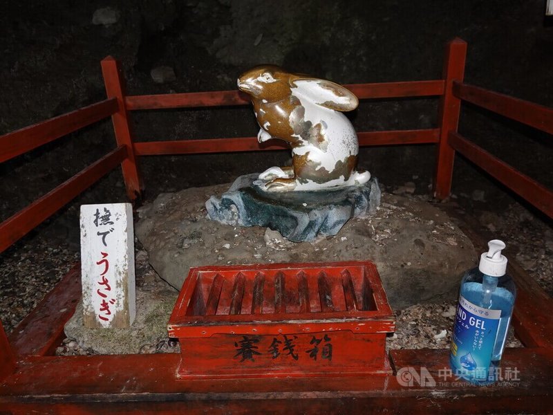 日本宮崎縣鵜戸神宮可看到兔子造型的石雕、許願牌和護身符等。兔子被視為鵜戶神宮神明的使者。殿旁有一座稱為「撫摸兔」銅雕供遊客撫摸祈福。中央社記者楊明珠宮崎攝 111年2月1日