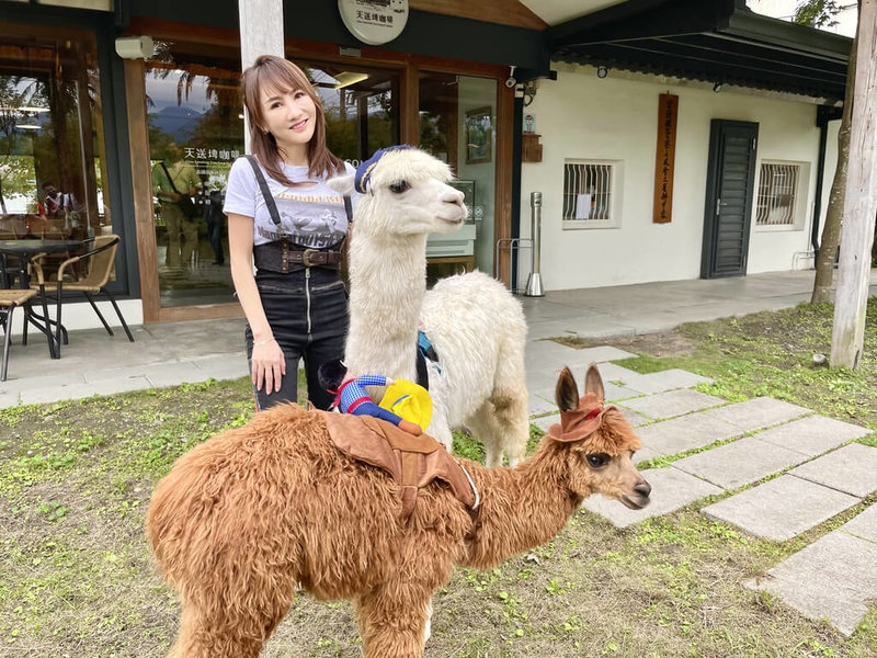 歌手王宥忻在家中飼養2隻羊駝,平時會帶著牠們四處做公益。(固力狗提供)中央社記者王心妤傳真 111年2月3日