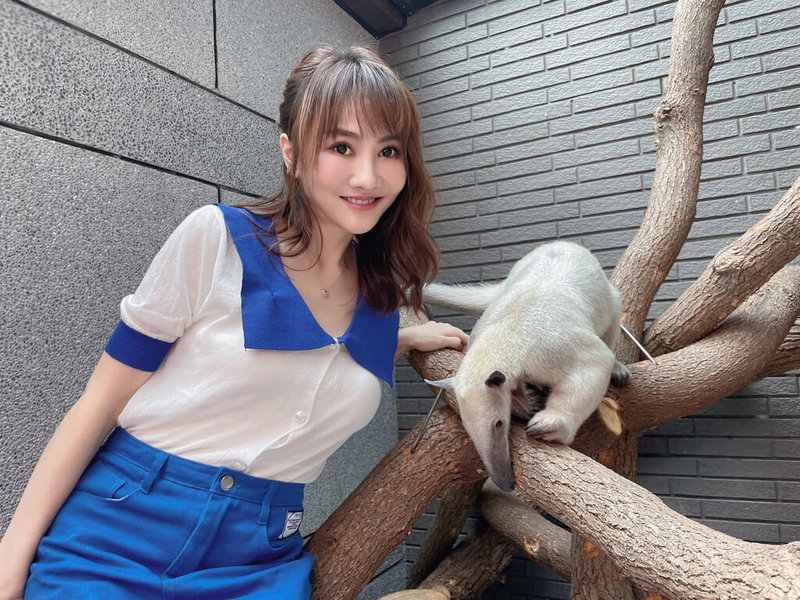 歌手王宥忻在家中飼養多種動物,其中還有食蟻獸。她透露食蟻獸的住處不只要注意溫度和濕度,飼料也需要菠菜、牛肉等多種食材調製,才能兼顧食蟻獸的健康。(固力狗提供)中央社記者王心妤傳真 111年2月3日