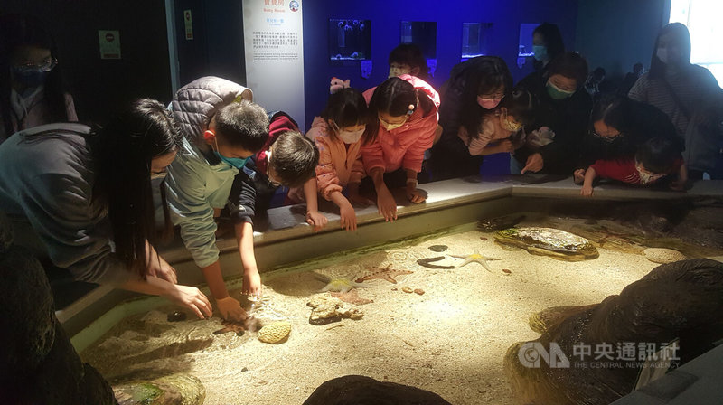 澎湖水族館表示,今年春節連假期間,都是濕冷的天氣,水族館在澎湖算是較大的室內展館,因此今年年假入館的民眾比往年多,大年初一還湧入500人之多,參觀民眾絡繹不絕。中央社 111年2月3日