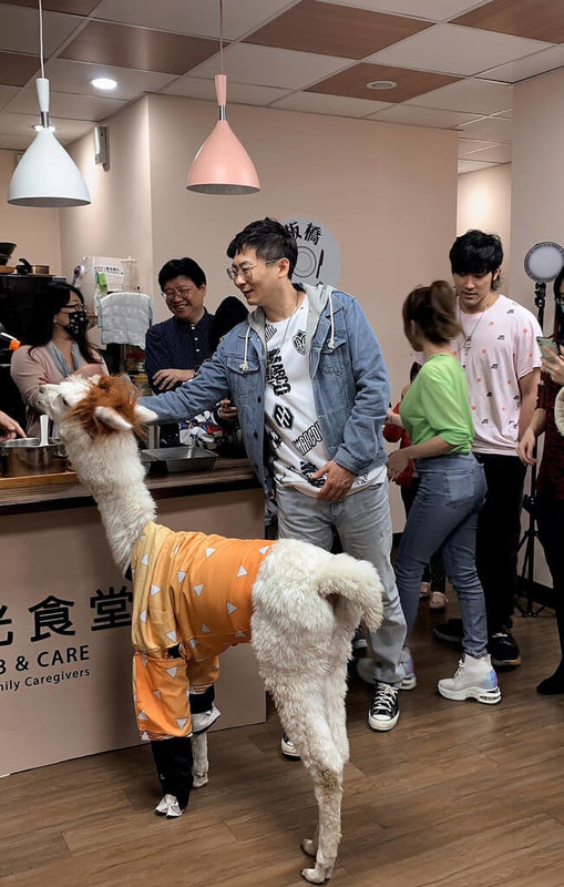 歌手王宥忻會帶著羊駝出門做公益,希望能仿效國外,讓動物療癒人的心。她透露之前到花蓮門諾醫院做公益時,也有長輩捨不得他們離開,頻頻追問下一次再來的時間。(固力狗提供)中央社記者王心妤傳真 111年2月3日