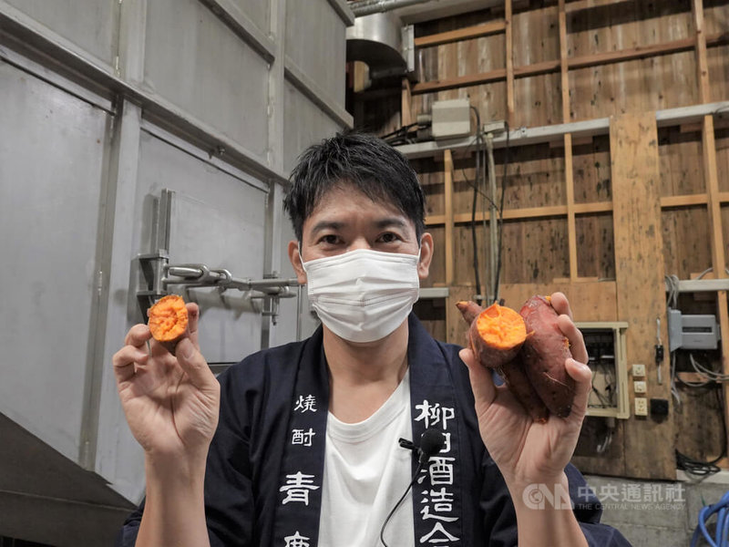 日本宮崎縣連續6年燒酒出貨量在日本居冠,尤其是宮崎縣都城市燒酒出貨量多,有芋(甘薯)燒酒或麥燒酒。釀燒酒原料的甘薯的品種有黃金千貫、濱小町等。(飲酒過量有礙健康;未成年請勿飲酒;酒後勿開車)中央社記者楊明珠宮崎攝 111年2月16日