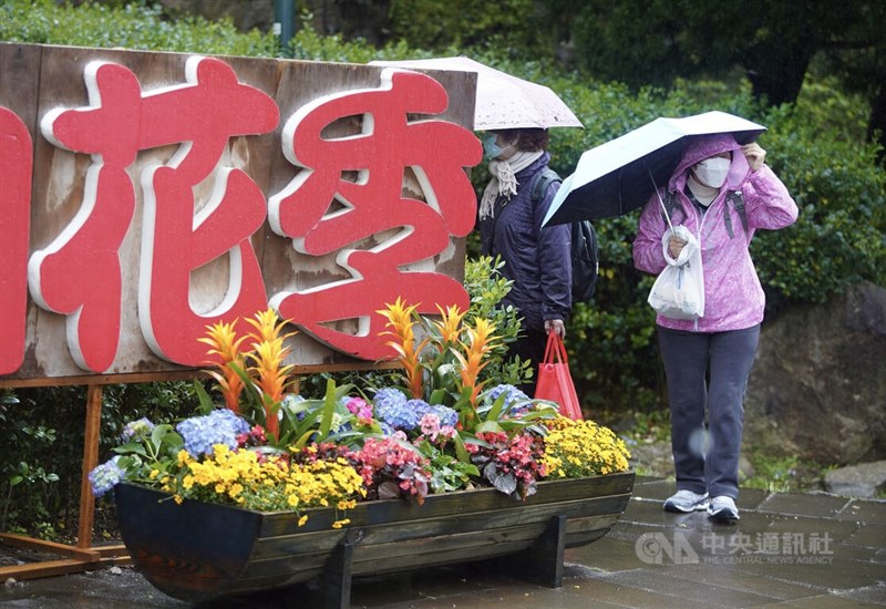國內17日新增14例本土病例，其中10人與房屋代銷群聚有關。圖為民眾撐傘、戴著口罩在陽明山賞花。中央社記者徐肇昌攝 111年2月17日