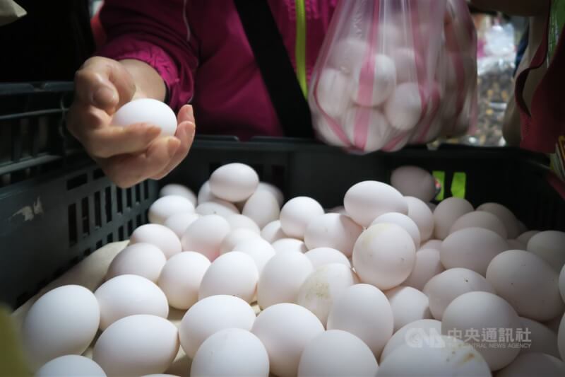 中華民國蛋價委員會議26日召開，蛋農希望產地價每台斤漲新台幣3元達43.5元。目前國產雞蛋產地價每台斤40.5元、批發價每台斤50元。（中央社檔案照片）
