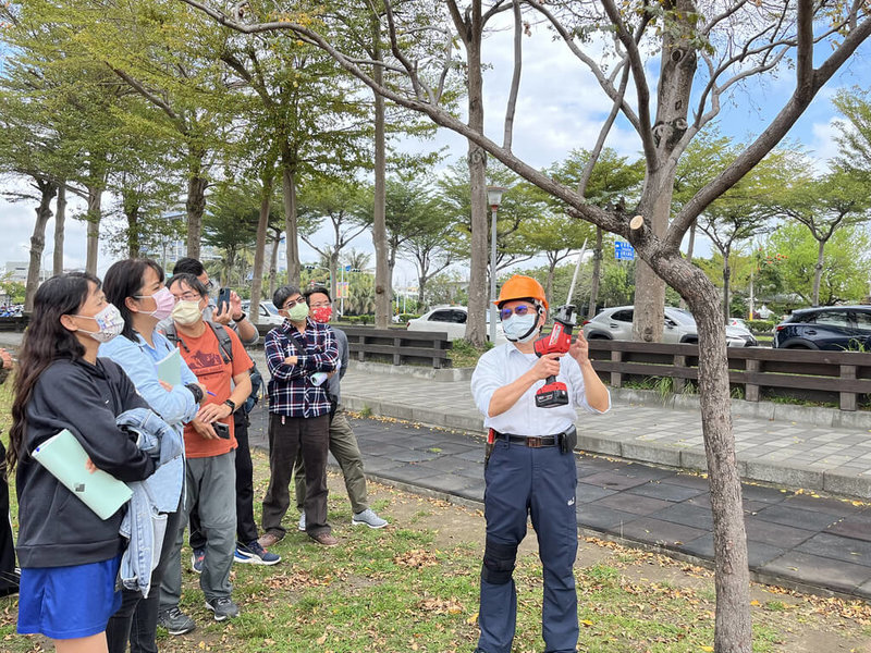 台東縣府首開樹木撫育修剪課程提供正確照護方法 地方 中央社cna