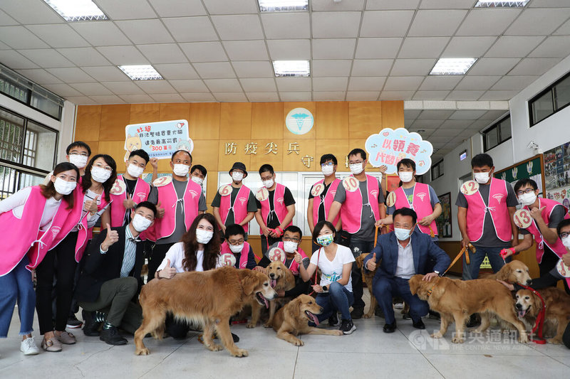嘉義縣家畜疾病防治所3日下午舉行14隻黃金獵犬直播抽籤找認養人活動，狗狗們在現場一字排開，圍觀民眾頻說好可愛。中央社記者蔡智明攝  111年3月3日