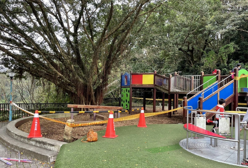 新北市三峽區林姓民眾表示,中山公園原以木屑作為遊戲區緩衝材,後來漸漸腐化變成適合甲蟲幼蟲生長的腐植土,吸引不少甲蟲在樹皮木屑區產卵,目前公所已暫時在遊戲區外拉起封鎖線,讓甲蟲寶寶可安心孵化蛻變。(周晉平提供)中央社記者黃旭昇新北市傳真 111年3月19日