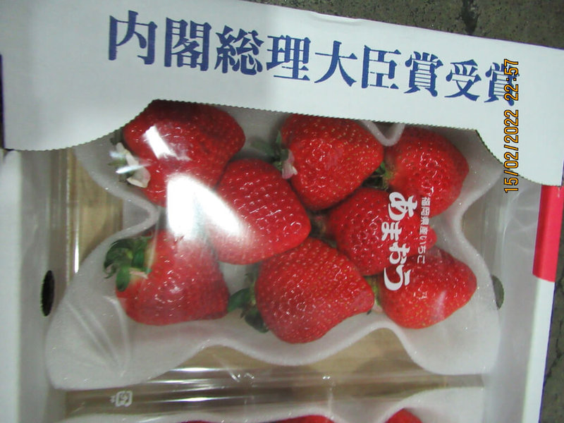 食藥署22日公布,日本進口草莓又有9批遭檢出農藥超標,全數在邊境攔截,未流入市面。(衛福部食藥署提供)中央社記者江慧珺傳真 111年3月22日