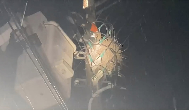 苗栗民眾日前在網路發文自家附近電桿有鳥巢,並稱「手電筒蠟燭已準備」;台電發現後立即派員前往移除,避免鳥獸外力碰觸造成停電事故。(台電苗栗區營業處提供)