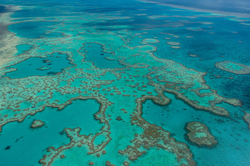 澳洲海洋科學院9日表示，如果海洋溫度升高，今年稍後引發另一次大規模珊瑚白化事件，澳洲大堡礁的情況可能會再次惡化。（圖取自facebook.com/GreatBarrierReefMarinePark）
