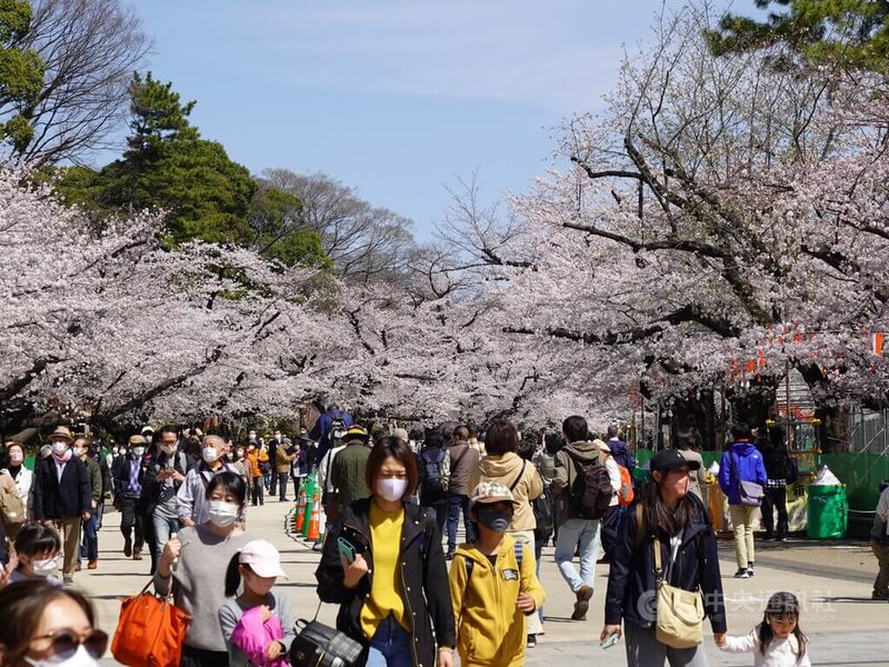 日本29日新增4萬4466例COVID-19(2019冠狀病毒疾病)確診病例,連續4天多於上週同一天。東京都新增確診7846例。圖為28日東京上野公園。中央社記者楊明珠東京傳真 111年3月29日