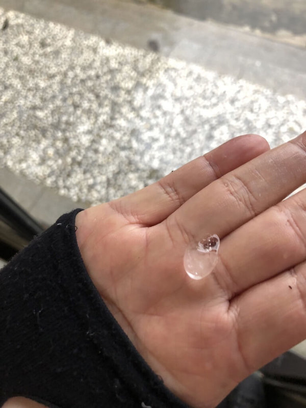 受到水氣增加影響,台南市局部地區23日大雨,後壁區南85線一帶數個鄰里出現冰雹,冰雹體積約彈珠大小。(台南市政府警察局白河分局提供)中央社記者張榮祥台南傳真 111年4月23日