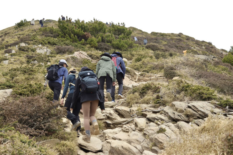 合歡北峰開頭的路途較為陡峭,建議穿著抓地力良好的登山鞋。 中央社記者徐子苓攝