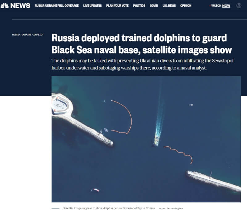 NBC News報導，衛星影像顯示，俄羅斯出動訓練過的海豚來保衛黑海海軍基地。（圖取自NBC News網頁nbcnews.com）