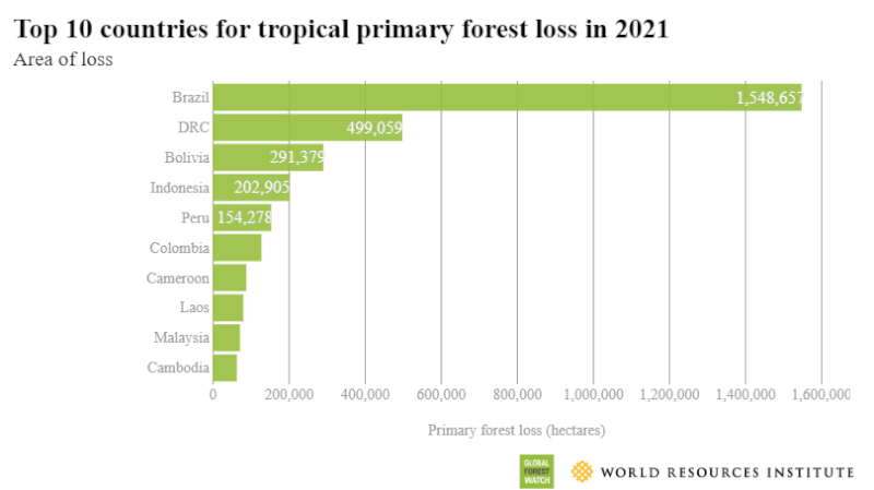 去年巴西消失的原始熱帶森林面積約150萬公頃，在全球居冠，其次依序為剛果民主共和國、玻利維亞、印尼和秘魯。（圖取自世界資源研究所網頁research.wri.org）