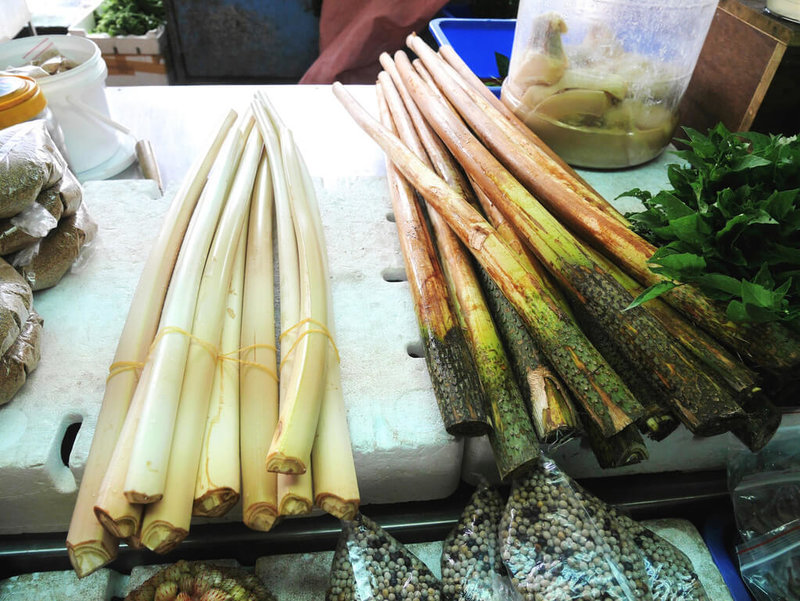 黃藤植株雖長滿銳刺,但食用部位的黃藤心卻幼嫩細緻,還富含礦物質鋅。(花蓮農改場提供)中央社記者李先鳳傳真 111年5月4日