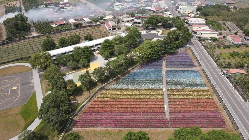 屏東縣政府與縣內5家鳳梨生產單位合作,在185縣道及高樹市區推出季節限定鳳梨彩帽田活動,7個不同田區有的背靠大武山、有的在丘陵上、有的在山谷中、有的緊鄰學校等,形成多元地景藝術風貌,帶給遊客不同的驚喜。(屏東縣政府提供)中央社記者郭芷瑄傳真 111年5月6日