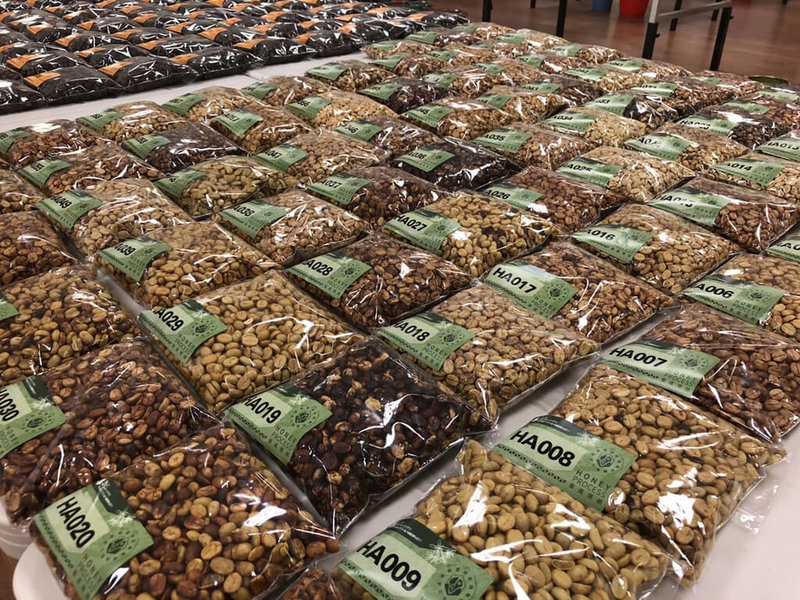 嘉義縣政府農業處12日表示,縣內咖啡種植面積約200公頃,產區集中在海拔800公尺以上的大阿里山地區,風味及口感有別於平地咖啡。(嘉義縣政府提供)中央社記者蔡智明傳真 111年5月12日