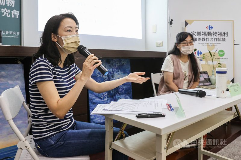 台灣動物社會研究會12日上午舉行記者會,研究員饒心儀(左)與台灣石虎保育協會理事長陳美汀(右)呼籲台灣大學負責審查該校動物實驗申請計畫的「實驗動物照護及使用委員會」(IACUC),立即撤銷要將「石虎」與「家貓」進行「異種複製」繁殖的研究計畫。中央社記者鄭清元攝 111年5月12日