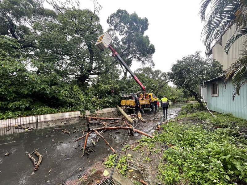 梅雨鋒面報到,新北市林口區14日上午傳出路樹倒塌壓倒電線桿災情,區公所獲報前往處理,初步研判是大型車輛行經勾到纜線造成,幸無人受傷。(民眾提供)中央社記者沈佩瑤傳真 111年5月14日