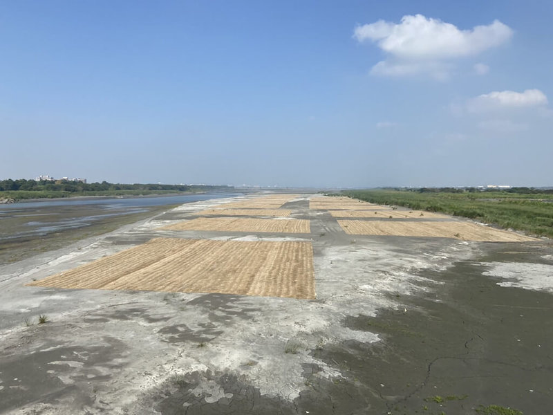 高雄市環保局14日指出,110年度透過衛星及空拍圖資匡列高屏溪裸露地約3023.8公頃,經研議多項評估並規畫執行各項裸露地改善措施,今年1至4月間已執行水覆蓋、綠覆蓋、稻草蓆覆蓋(圖)、防塵網覆蓋、許可種植與疏濬工程等工法。(高雄市政府提供)中央社記者曾以寧傳真 111年5月14日
