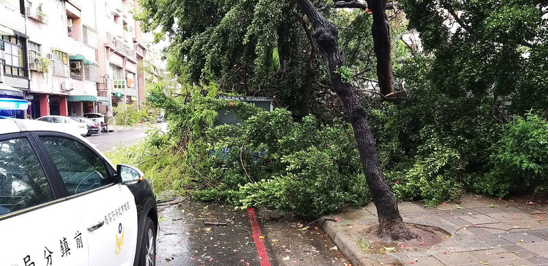 高雄地區14日中午左右降下驟雨,前鎮區一所國中校內的榕樹疑因雨根部鬆動,往校外方向倒塌,先壓到校園圍牆後再殃及路邊車輛,所幸無人傷亡。(民眾提供)中央社記者曾以寧傳真 111年5月14日