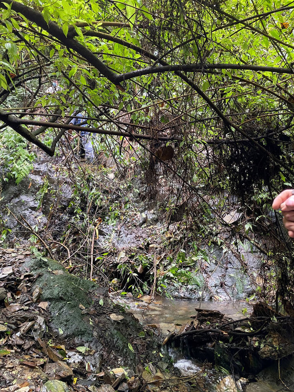 野放的東卯山黑熊遺體在南投縣仁愛鄉武界一帶找到,解剖檢視疑有槍傷,經警方過濾監視器掌握犯嫌並通知說明。圖為黑熊死亡地點。(民眾提供)中央社記者蕭博陽南投傳真 111年5月20日