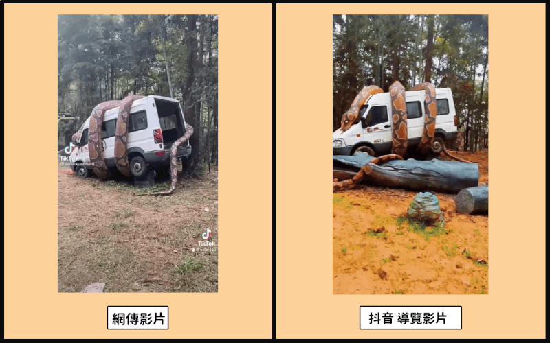 近期網路流傳一段大蛇纏繞白色箱型車的畫面，聲稱「連續豪雨山崩，台灣阿里山出現超大隻巨蟒」。不過事實查核機構指出，是在中國的裝置藝術。（圖取自MyGoPen網頁mygopen.com）
