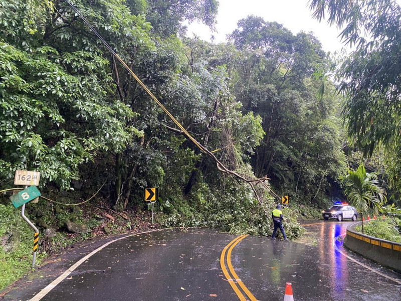 連日降雨,造成嘉義縣山區道路出現多處樹木倒塌,阻礙交通,縣府9日已清除。(嘉義縣政府提供)中央社記者蔡智明傳真 111年6月9日