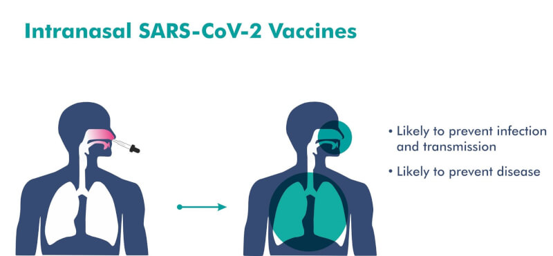 印度巴拉特生物科技國際公司完成噴鼻式COVID-19疫苗第3期臨床實驗，有望成為全球首個獲得臨床證明的噴鼻式COVID-19疫苗。（圖取自巴拉特生技網頁bharatbiotech.com）