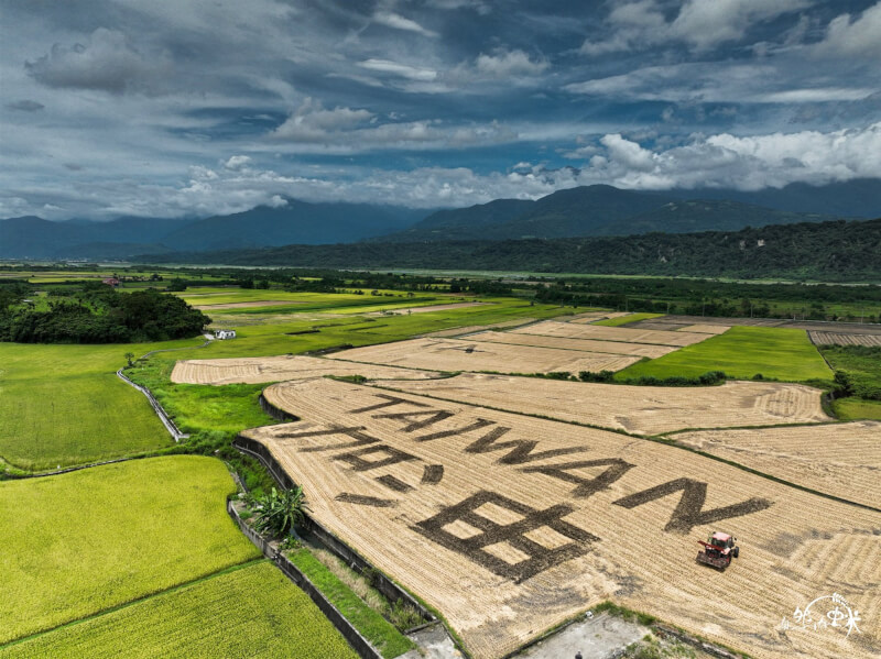 花蓮玉里農友康明義利用6分大田地翻土創作,寫下巨幅「TAIWAN 加油」,他說,疫情對國家經濟與民眾生活造成不少影響,社會氣氛難免低迷,盼藉此帶給大家一些正能量,也是為防疫人員打氣。(自然有虫米 康明義提供)中央社記者李先鳳傳真 111年6月22日