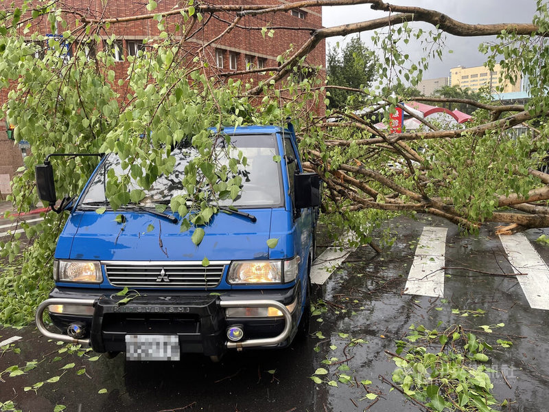中央氣象局24日下午發布大雨特報,包含台北市、新北市同時發布大雷雨即時訊息。台北市警消午後獲報,西寧北路附近路口有樹木倒塌,壓損圍牆、路口交通號誌、1輛自小客車及1輛小貨車,所幸無人受傷;樹倒原因仍待釐清。(翻攝畫面)中央社記者劉建邦傳真 111年6月24日