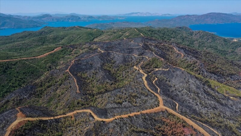 土耳其西南海岸麥里斯大火延燒3天，燒毀4500公頃森林。圖為被燒毀地區25日俯瞰圖。（安納杜魯新聞社）