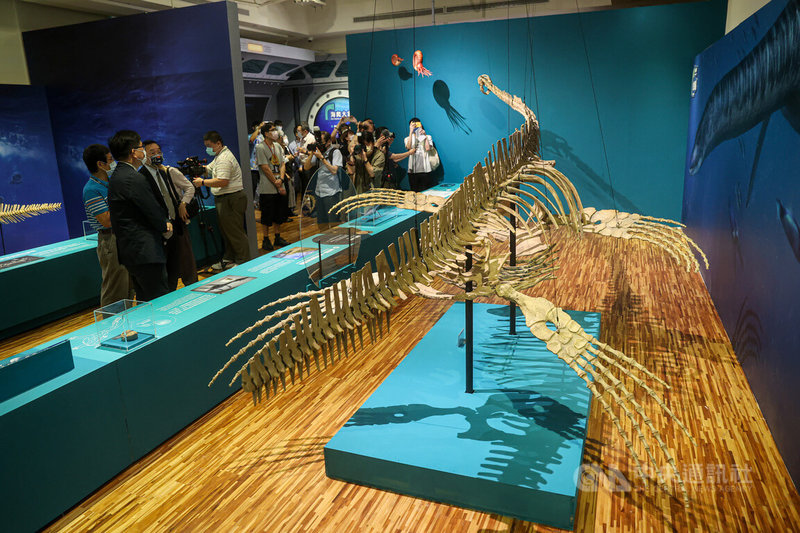 國立台灣博物館推出「水怪—水棲爬行動物化石展」，27日舉行開幕典禮，展出多種水棲爬行動物的珍貴化石，讓大眾了解演化奧秘。中央社記者鄭清元攝 111年6月27日