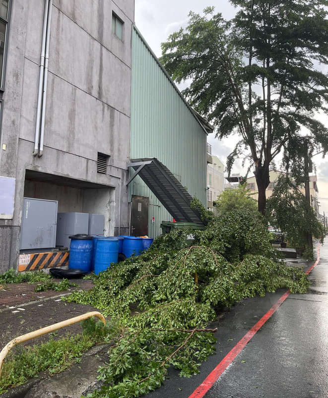 屏東27日下午突然一陣狂風暴雨,發生路樹倒塌等災情,不少民眾驚呼「根本颱風天」。(屏東丞泰茶行提供)中央社記者李卉婷傳真 111年6月27日