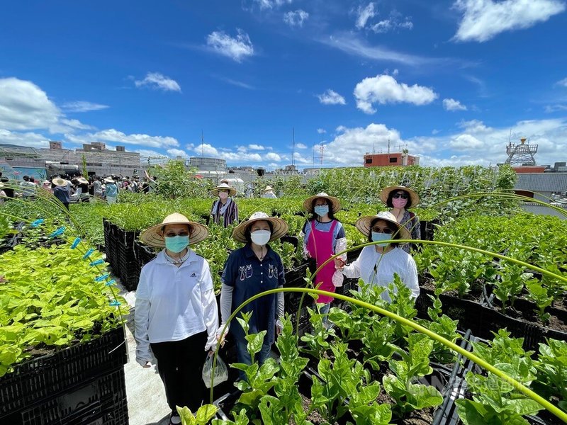 台北市政府產業局積極推動屋頂綠化,在東湖圖書館屋頂打造智慧農場,並開辦「東湖綠屋頂植人培訓所」,30日舉辦成果分享會。中央社記者王飛華攝 111年6月30日