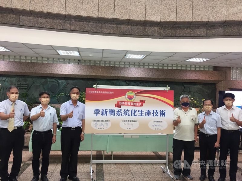 行政院農業委員會畜產試驗所7日舉行「節省肉鴨生產50%人工授精成本—新品系季新鴨技轉落地」記者會,進行技術授權簽約儀式,技轉給市占率6成的種鴨場黎明農牧場。中央社記者楊淑閔攝 111年7月7日