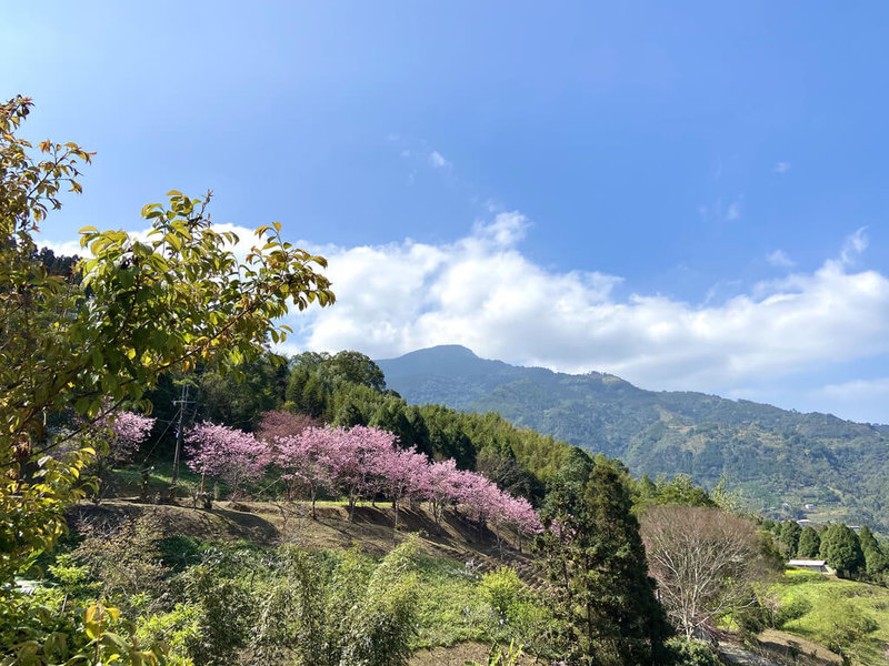 新竹縣五峰鄉桃山村旅遊軸線環境營造計畫獲交通部觀光局核定補助，將重新整合122縣道觀光旅遊軸線景觀設施及資源，盼透過休憩節點入口特色營造及基礎設施升級等，提升觀光環境。（新竹縣政府提供）中央社記者郭宣彣傳真  111年7月8日