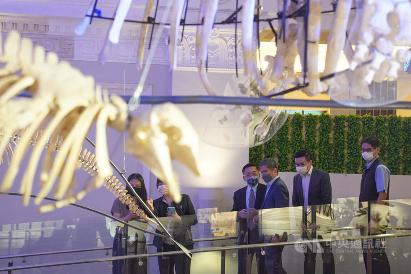 歷經2個多月閉館更新的國立台灣博物館古生物館12日將重新開館,文化部長李永得(右3)11日前往參加開幕典禮,在台灣博物館館長洪世佑(右4)陪同下參觀。中央社記者徐肇昌攝 111年7月11日