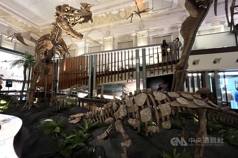 國立台灣博物館古生物館經歷2個多月閉館更新,12日將重新開館,以嶄新的面貌與民眾見面。中央社記者徐肇昌攝 111年7月11日