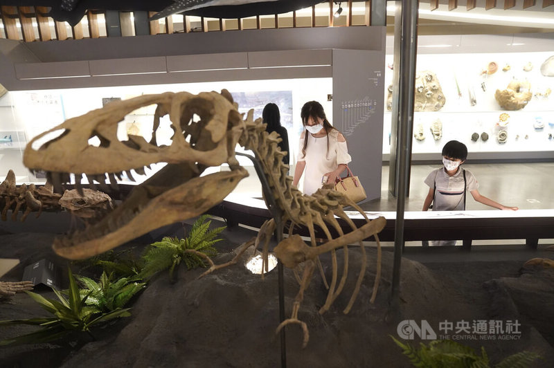 經歷2個多月閉館更新的國立台灣博物館古生物館,12日將重新開館,受邀出席的來賓帶孩子在展場參觀。中央社記者徐肇昌攝 111年7月11日