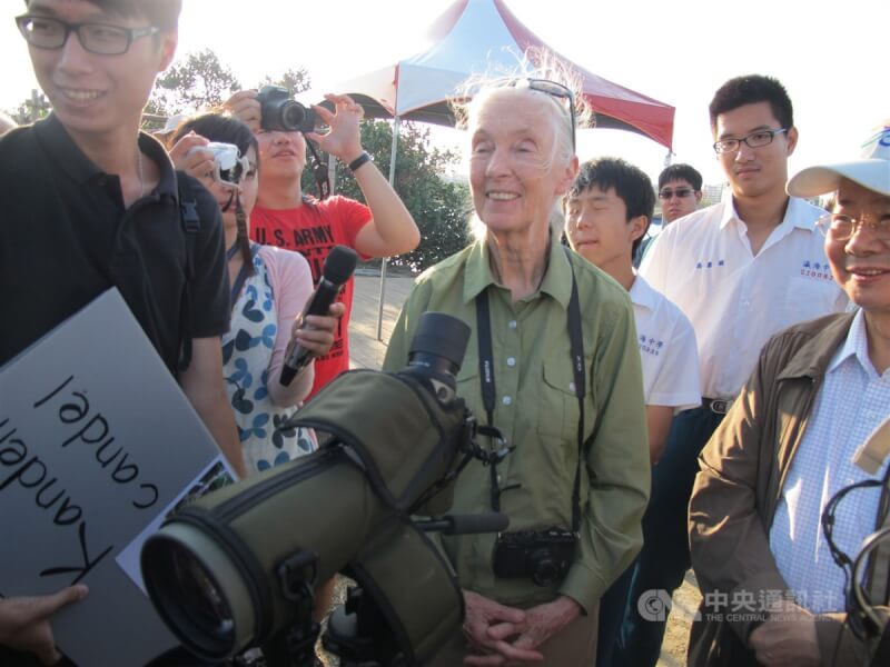 圖為珍古德（前中）2014年訪視台灣二仁溪，肯定整治進步。（中央社檔案照片）