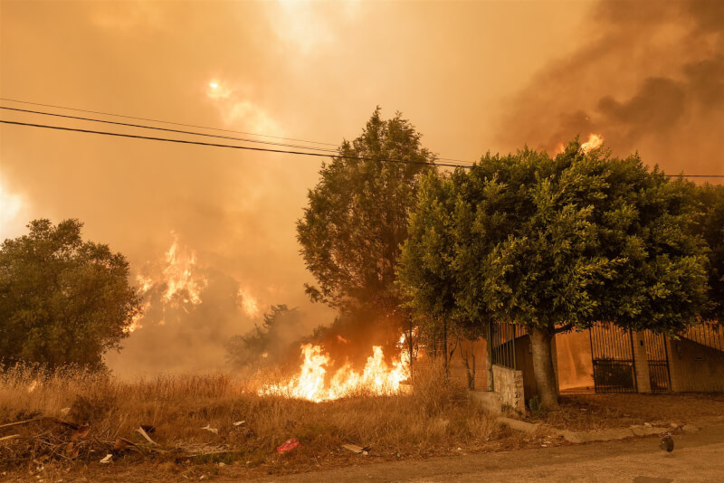 熱浪侵襲歐洲部分地區，葡萄牙各地、西班牙西部發生逾20起火災。圖為14日葡萄牙中南部城鎮帕爾梅拉發生野火。（安納杜魯新聞社）