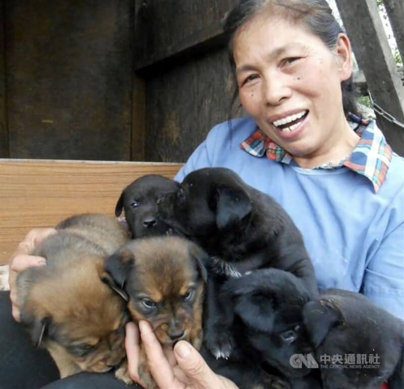 花蓮愛媽朱素梅長年收容流浪動物,自掏腰包成立「朱阿姨愛狗樂園」,近日辭世,身後留下50多隻毛小孩,引起愛狗人士關注,花蓮縣政府農業處承諾,會協助進行妥善安排。(取自花蓮朱阿姨狗園需要你我的幫忙臉書)中央社記者張祈傳真 111年7月16日