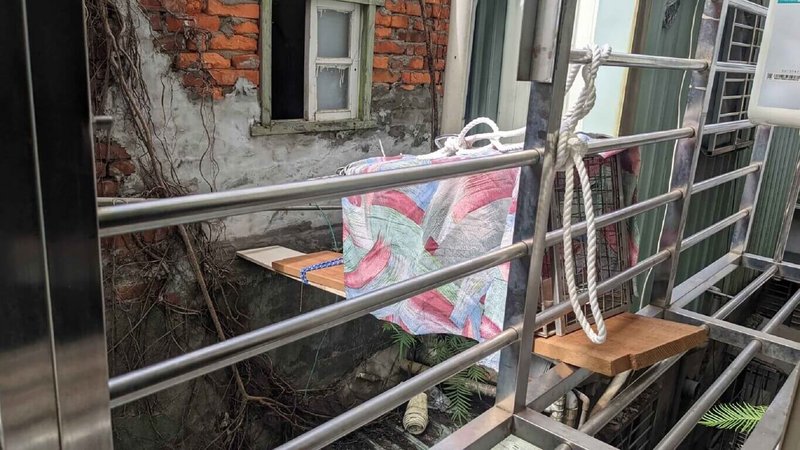 有隻小奶貓卡頂樓加蓋屋頂縫隙,附近住戶林姓男子發現通報動保人員救援,並持續在臉書上記錄救援進度,最後,動保處動保員與林男等人合力以組合木板與誘貓籠完成救援。(動保處提供)中央社記者王鴻國傳真 111年7月18日