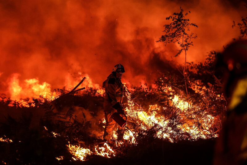 圖為17日法國西南部吉倫特省附近，一名消防員在撲滅森林大火時策略性的放火燒毀一塊土地，防止野火因風向變化而繼續蔓延。（法新社）